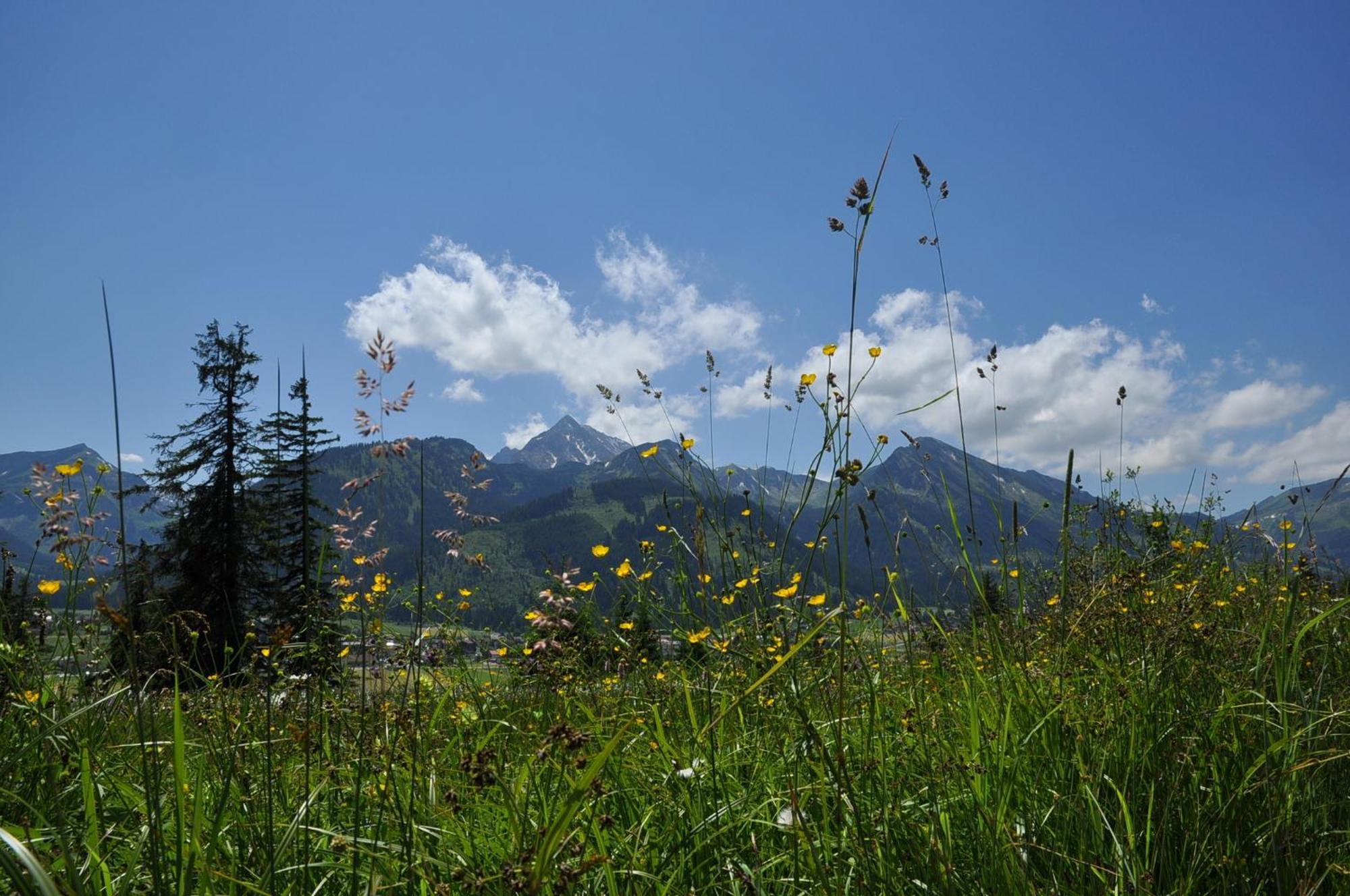 Landhaus Alpensonne Schattwald Εξωτερικό φωτογραφία